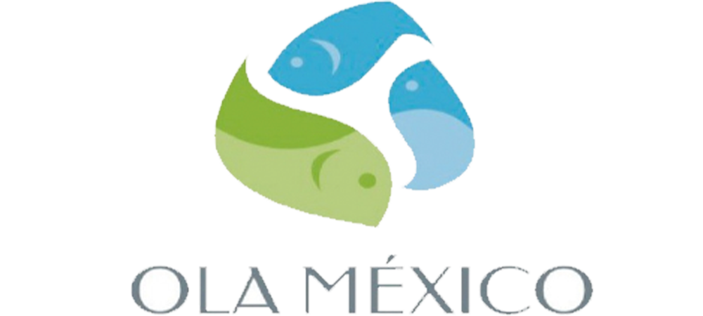 OLA MEXICO